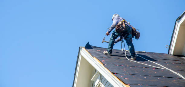 Best Roof Gutter Cleaning  in Wabasso Beach, FL